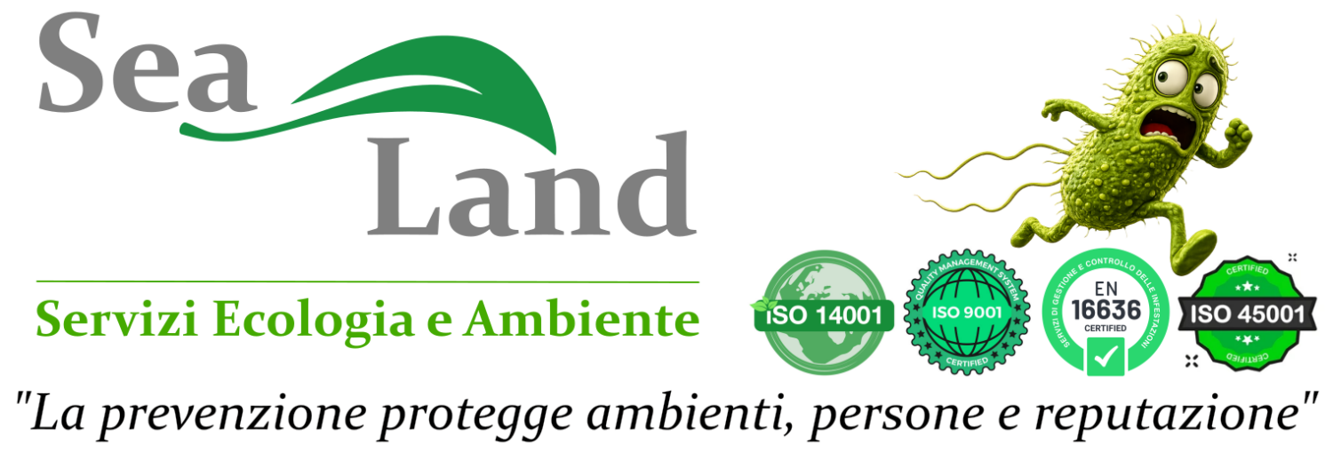 Sealand Srl